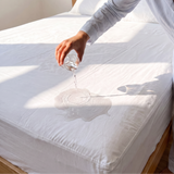 Mattress Protector