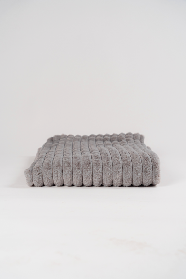 بطانية مخططة — Silver